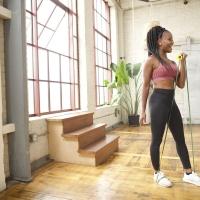 trx home gym equipment bandit set 2 handles 4 bands