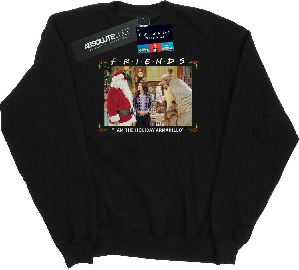 friends sweatshirt i am the holiday armadillo black