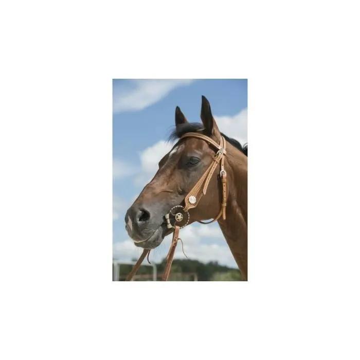 westride bridle aurora brown