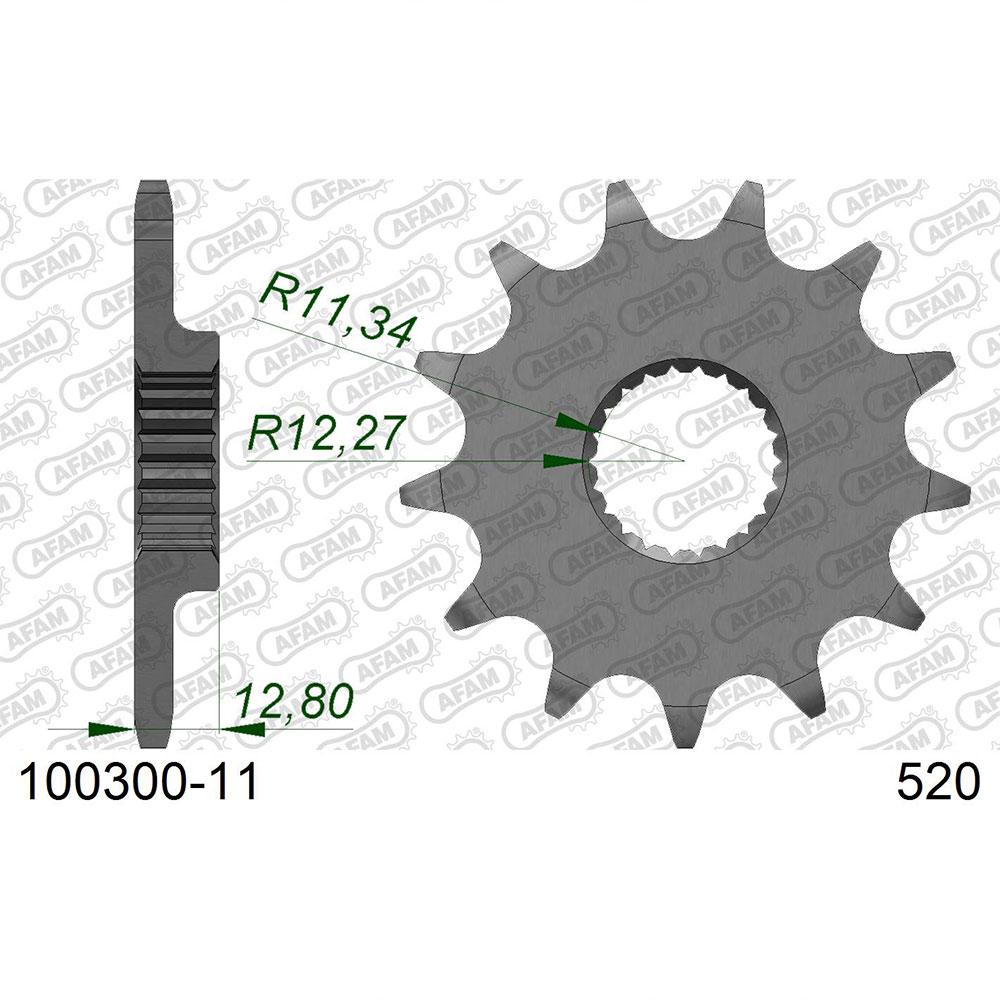 afam front sprocket 100300 13t