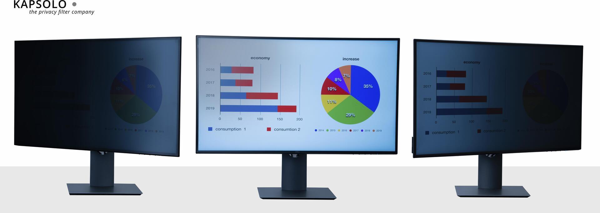 kapsolo privacy filter 2-way 17 inch
