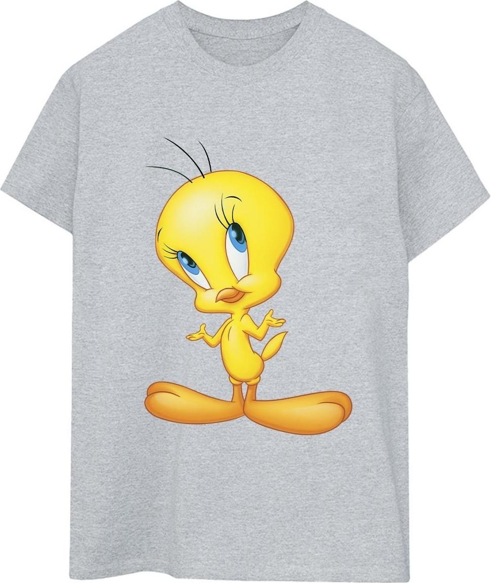 looney tunes t-shirt boyfriend fit grey s