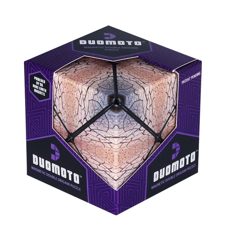 duomoto logic game parched random model