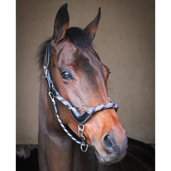 jump'in headcollar travel collection one black cob