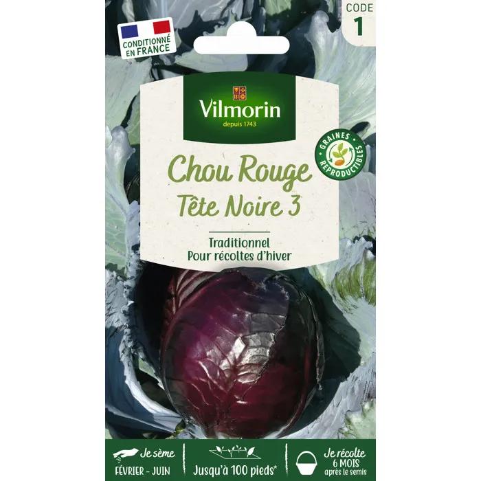 vilmorin vegetable seed chou rouge tête noire 3