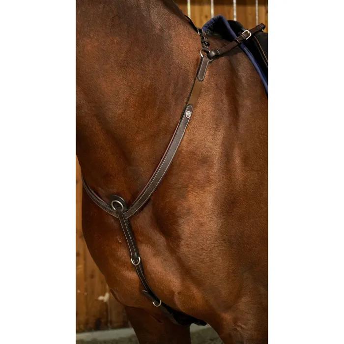dyon breastplate bridge brown cob