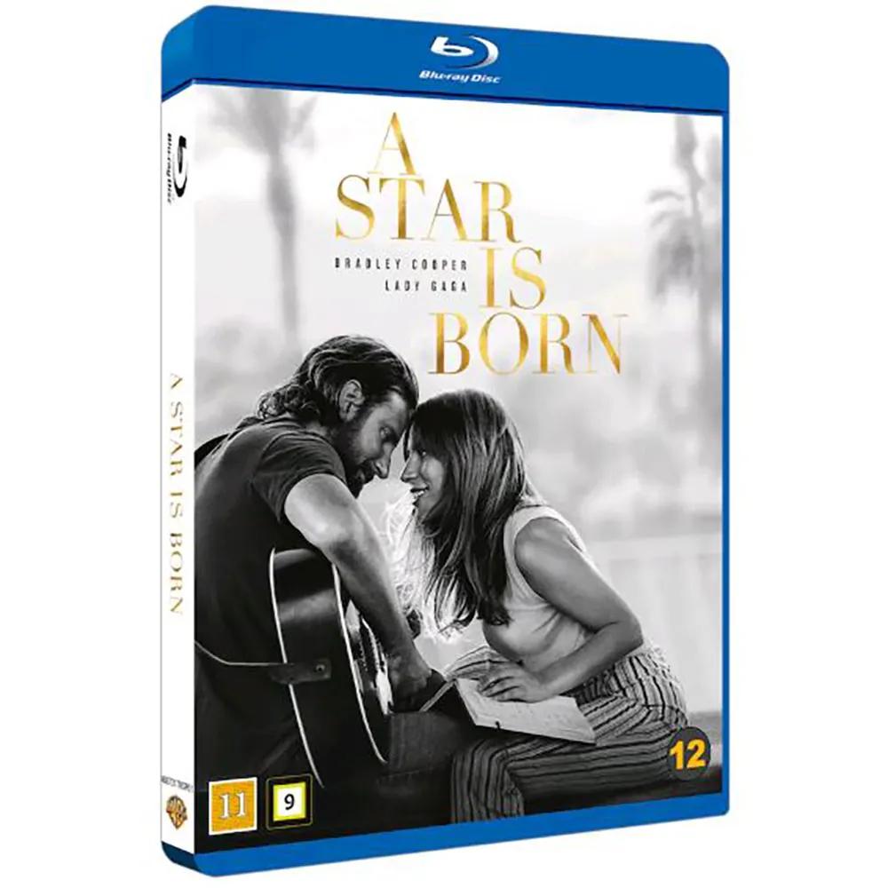 warner bros dvd a star is born english