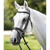 tattini bridle and reins frontal mold brown full