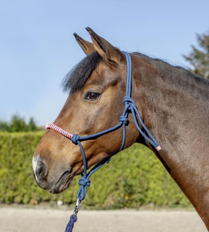 usg halfter braided noseband with sparkling stones pink/black shetty