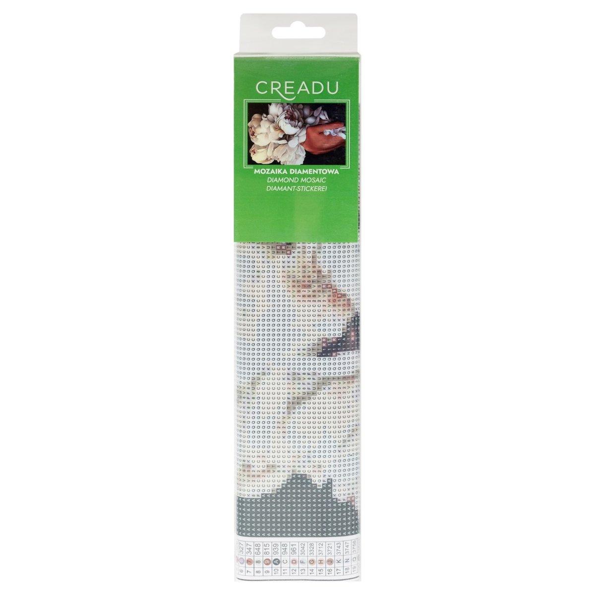 creadu diamond painting kit rolled art 1