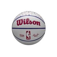 wilson basketball team city collector 2023 size 7
