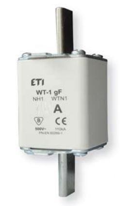 eti-polak fuse wt-1/gf 80a nh1