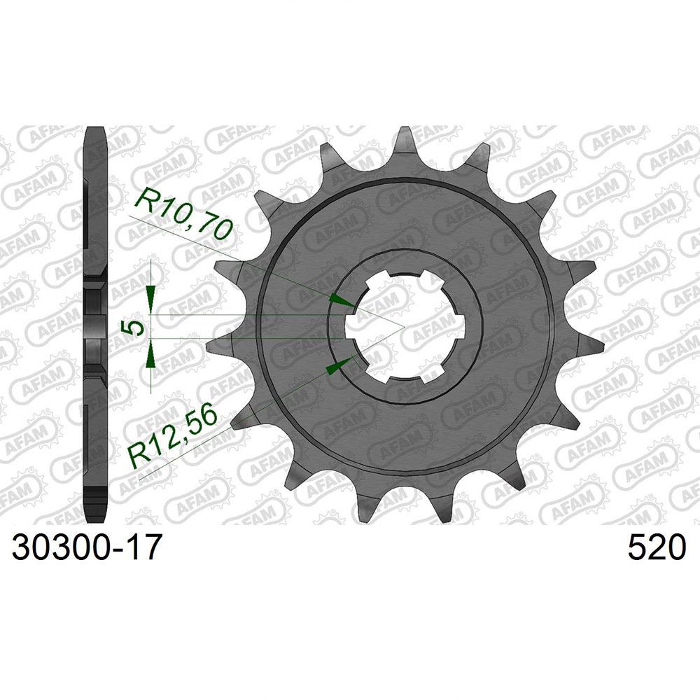 afam front sprocket 30300 13t