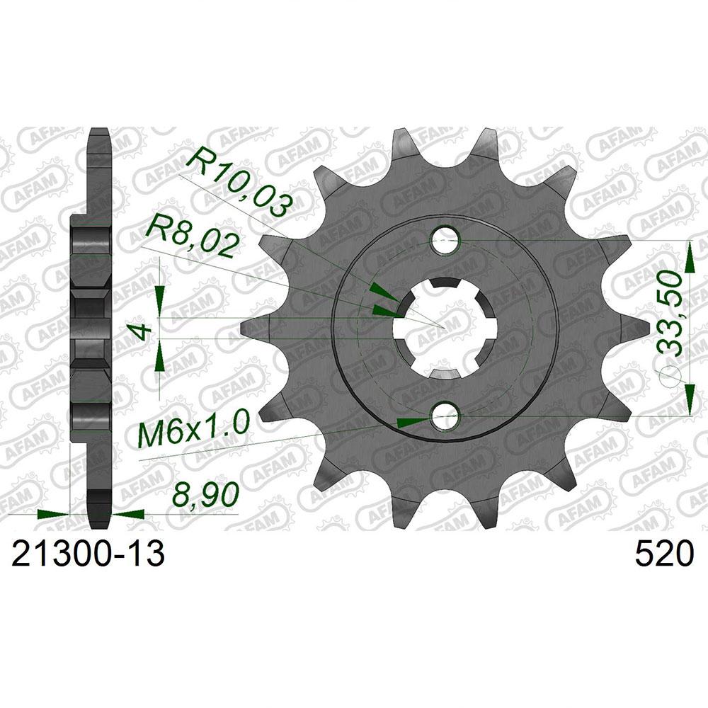 afam front sprocket 21300 13t