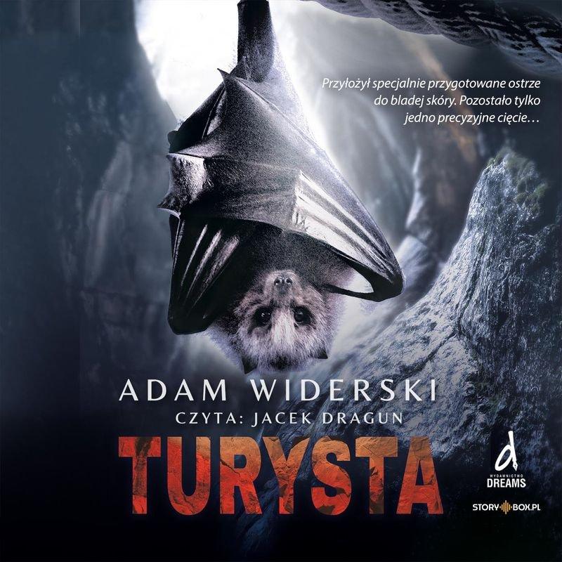 turysta audiobook literature